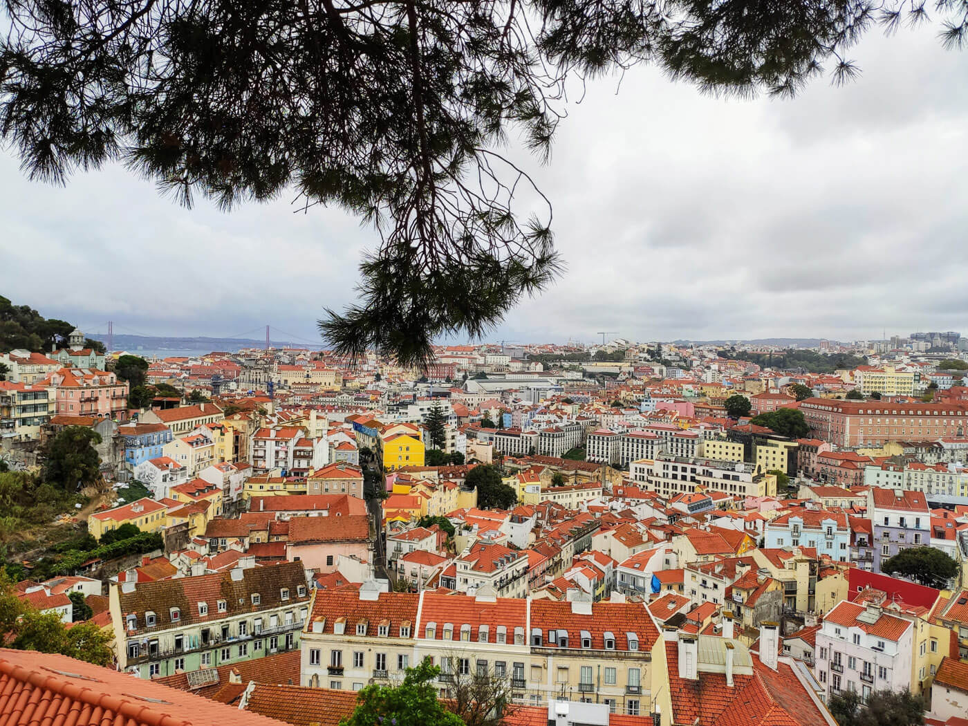 Как получить ВНЖ Португалии на основании открытия ИП