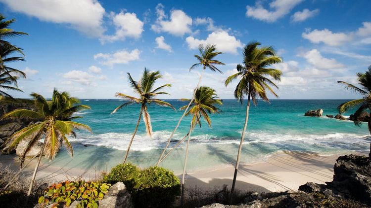Барбадос — виза для диджитал номадов
