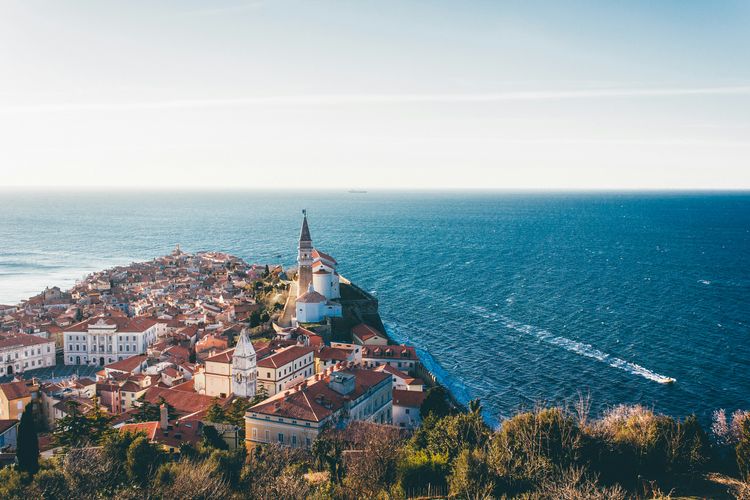 ВНЖ Словении для цифровых кочевников (Digital Nomad): Полный гайд